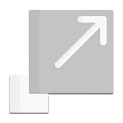SCALE-UP
